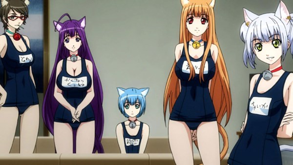 Cat Planet Cuties - Complete Series Collection