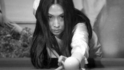 Arrow April Announcements