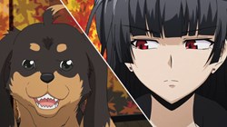 MVM Announce Dog & Scissors for October 18th